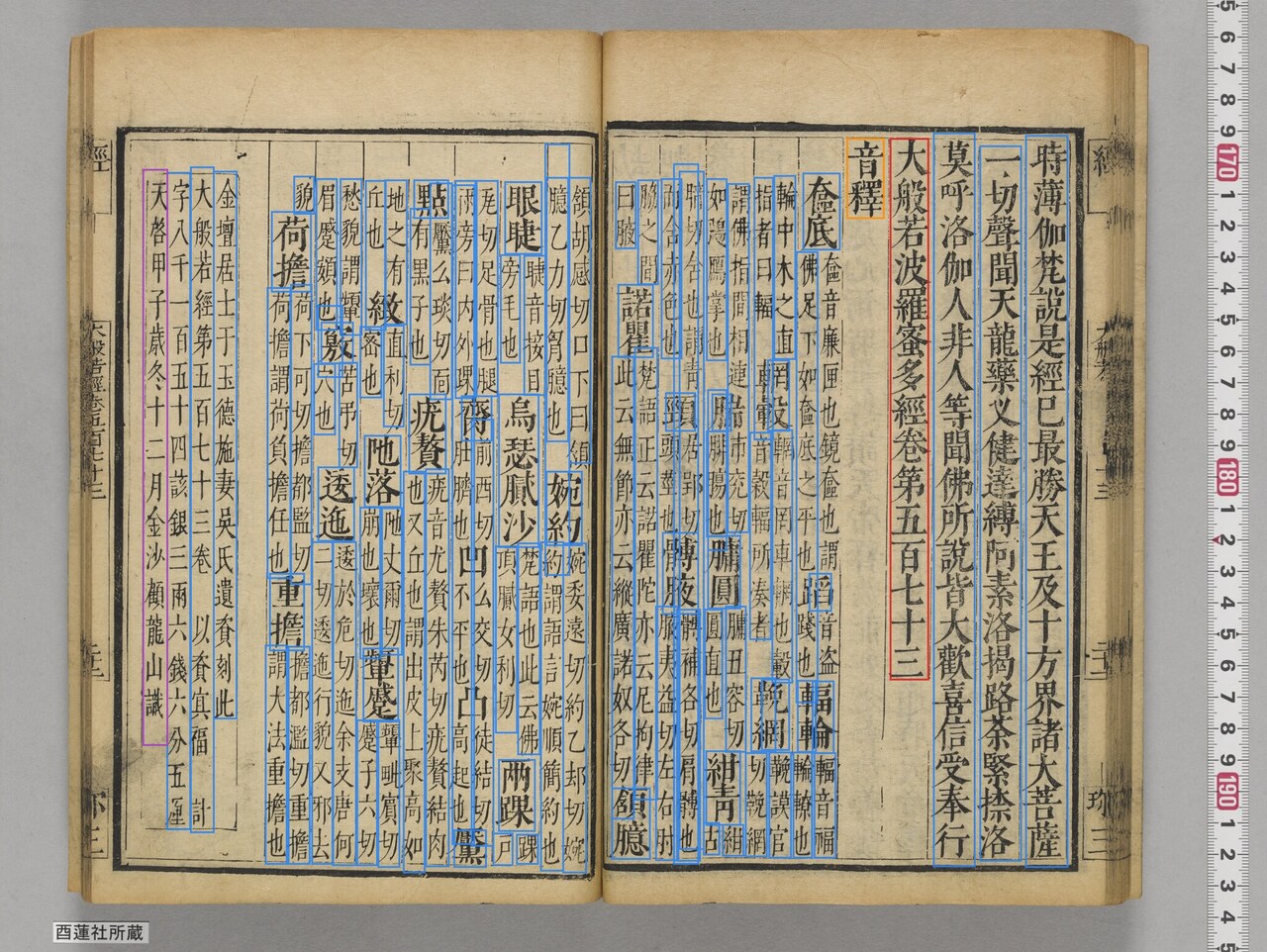 canvas 64 with NDL recognition zone rectangles overlaid. The right-page body is partitioned into vertical column units; the left-page onshaku is partitioned into clusters that group each large head character with its small two-column annotations underneath
